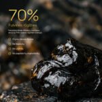 Himalajų mumijaus derva su 70 procentų fulvinės rūgšties
